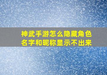 神武手游怎么隐藏角色名字和昵称显示不出来