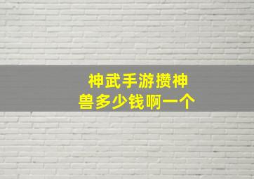 神武手游攒神兽多少钱啊一个