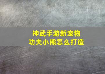 神武手游新宠物功夫小熊怎么打造