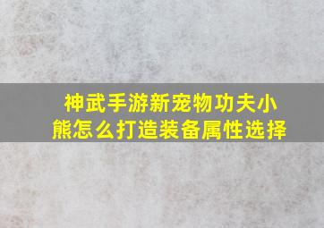 神武手游新宠物功夫小熊怎么打造装备属性选择