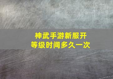 神武手游新服开等级时间多久一次