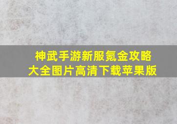 神武手游新服氪金攻略大全图片高清下载苹果版