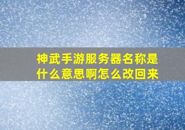 神武手游服务器名称是什么意思啊怎么改回来