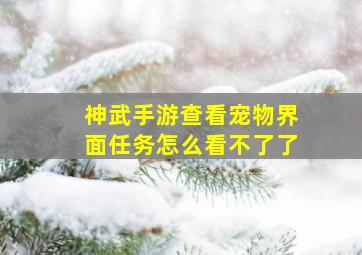 神武手游查看宠物界面任务怎么看不了了