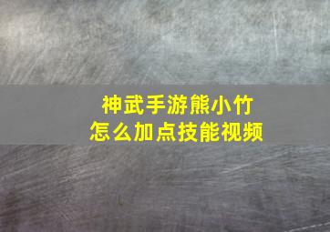 神武手游熊小竹怎么加点技能视频