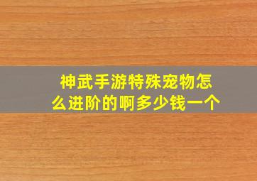 神武手游特殊宠物怎么进阶的啊多少钱一个