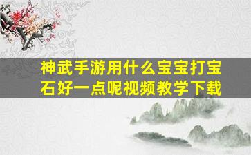 神武手游用什么宝宝打宝石好一点呢视频教学下载