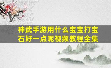 神武手游用什么宝宝打宝石好一点呢视频教程全集