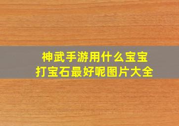 神武手游用什么宝宝打宝石最好呢图片大全