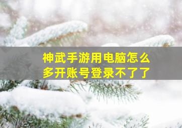 神武手游用电脑怎么多开账号登录不了了