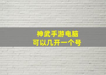 神武手游电脑可以几开一个号