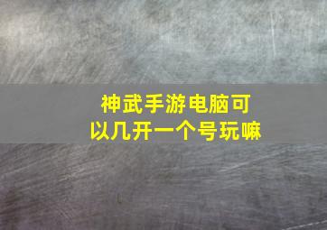 神武手游电脑可以几开一个号玩嘛