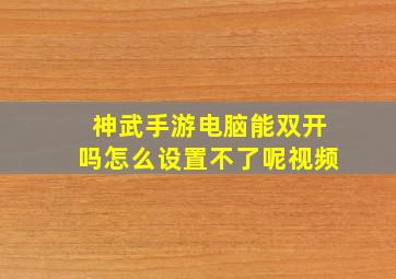 神武手游电脑能双开吗怎么设置不了呢视频