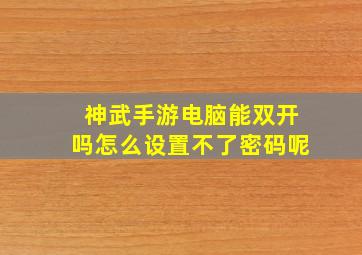 神武手游电脑能双开吗怎么设置不了密码呢