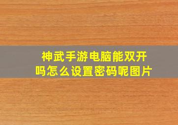 神武手游电脑能双开吗怎么设置密码呢图片