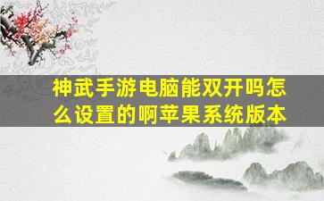 神武手游电脑能双开吗怎么设置的啊苹果系统版本