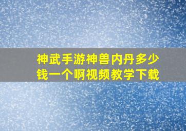 神武手游神兽内丹多少钱一个啊视频教学下载