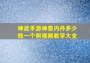 神武手游神兽内丹多少钱一个啊视频教学大全