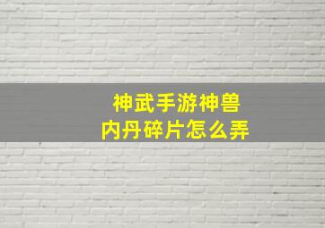 神武手游神兽内丹碎片怎么弄