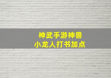 神武手游神兽小龙人打书加点