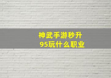 神武手游秒升95玩什么职业