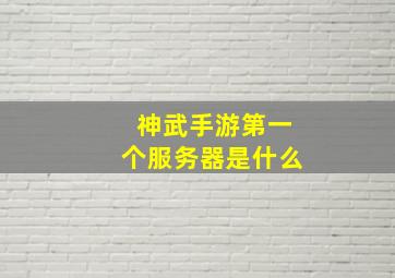 神武手游第一个服务器是什么