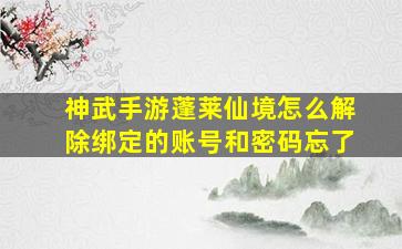 神武手游蓬莱仙境怎么解除绑定的账号和密码忘了