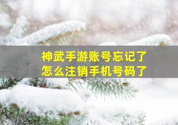 神武手游账号忘记了怎么注销手机号码了