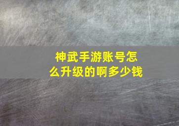 神武手游账号怎么升级的啊多少钱