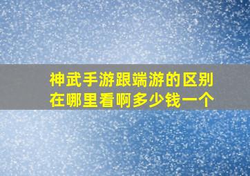 神武手游跟端游的区别在哪里看啊多少钱一个