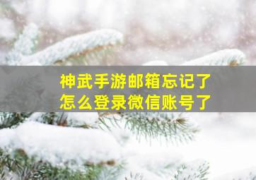 神武手游邮箱忘记了怎么登录微信账号了