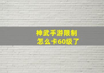 神武手游限制怎么卡60级了