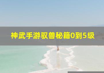 神武手游驭兽秘籍0到5级