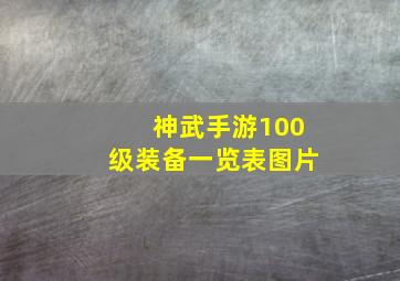 神武手游100级装备一览表图片