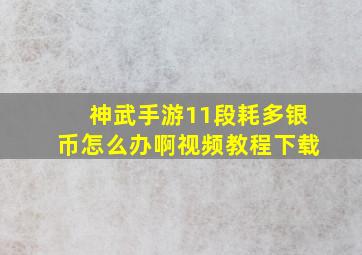 神武手游11段耗多银币怎么办啊视频教程下载