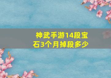 神武手游14段宝石3个月掉段多少