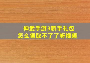 神武手游3新手礼包怎么领取不了了呀视频