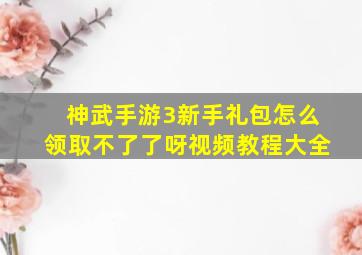 神武手游3新手礼包怎么领取不了了呀视频教程大全