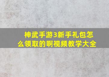 神武手游3新手礼包怎么领取的啊视频教学大全