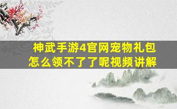 神武手游4官网宠物礼包怎么领不了了呢视频讲解