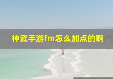 神武手游fm怎么加点的啊