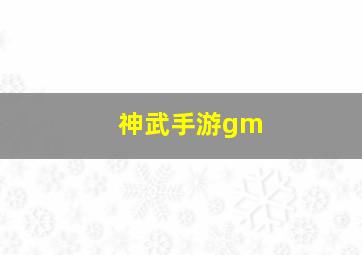 神武手游gm