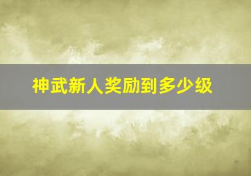 神武新人奖励到多少级