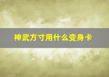 神武方寸用什么变身卡