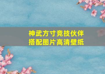 神武方寸竞技伙伴搭配图片高清壁纸