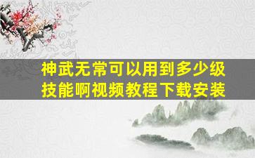 神武无常可以用到多少级技能啊视频教程下载安装