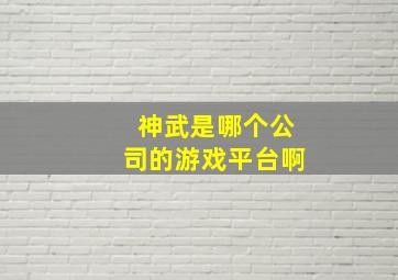 神武是哪个公司的游戏平台啊