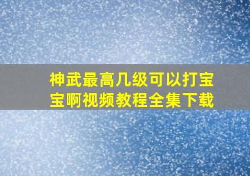 神武最高几级可以打宝宝啊视频教程全集下载