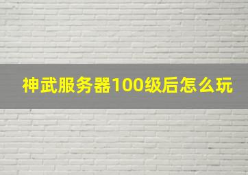 神武服务器100级后怎么玩