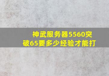 神武服务器5560突破65要多少经验才能打